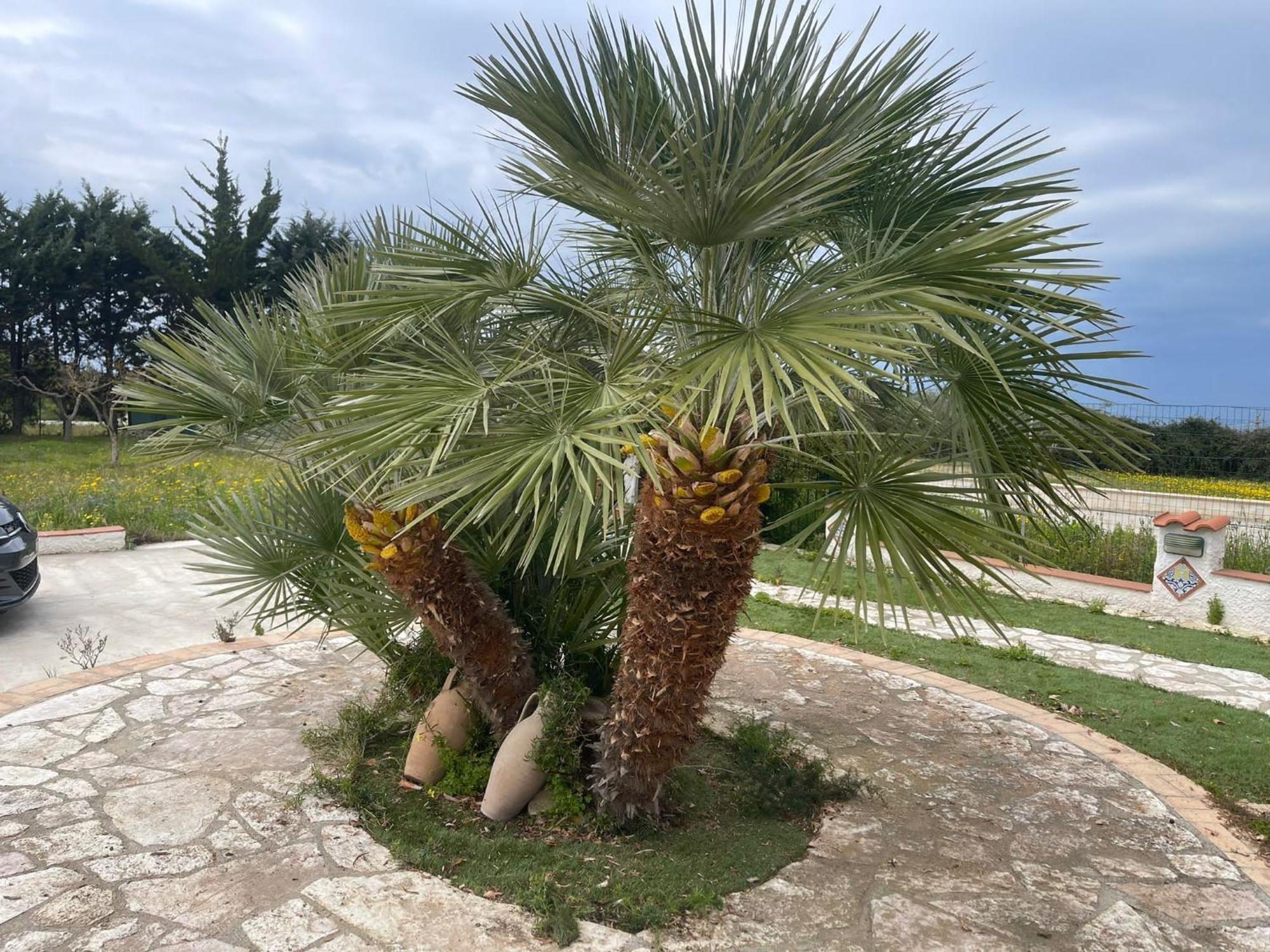 Villa Fiori Di Campo Sciacca Exterior foto