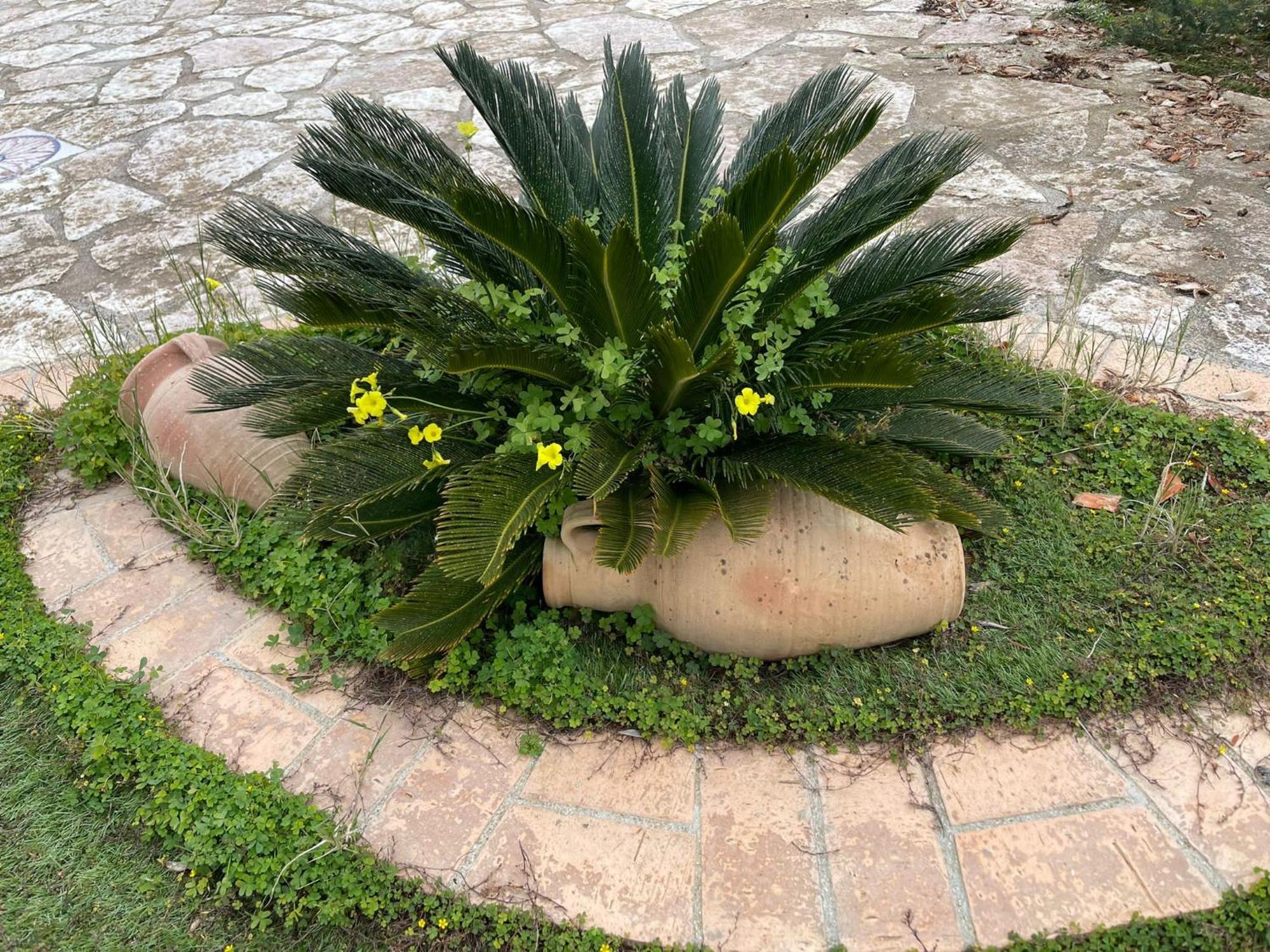 Villa Fiori Di Campo Sciacca Exterior foto